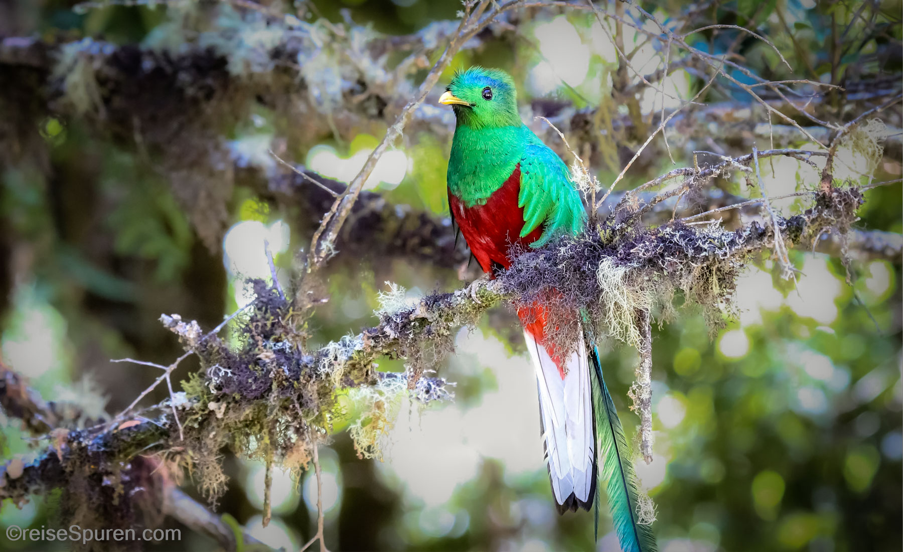 Costa Rica