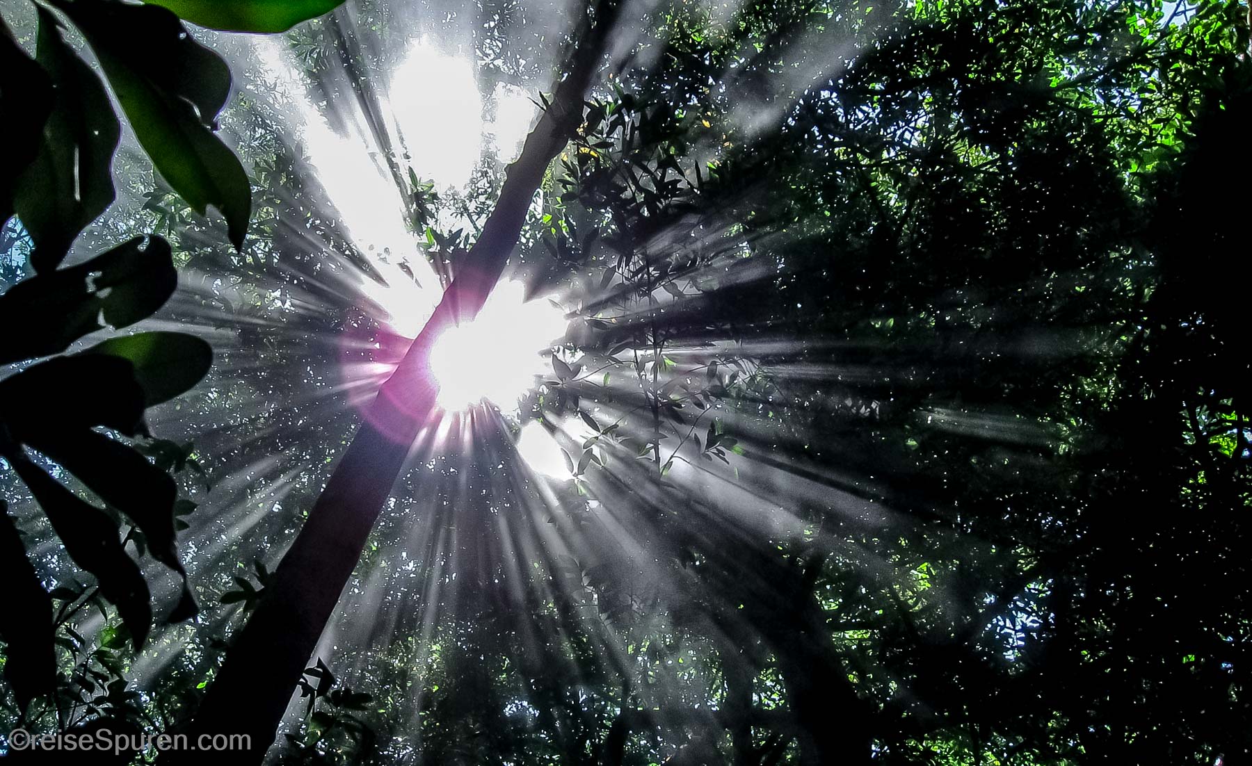 Sonnenlicht