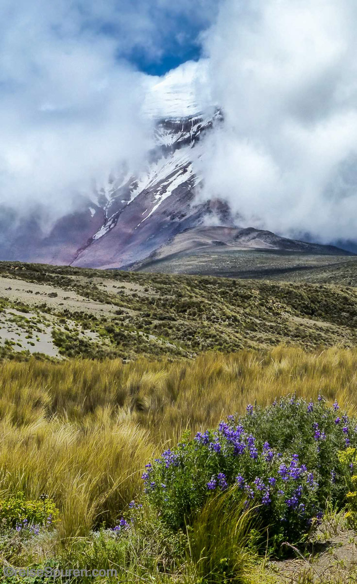 Chimborazo