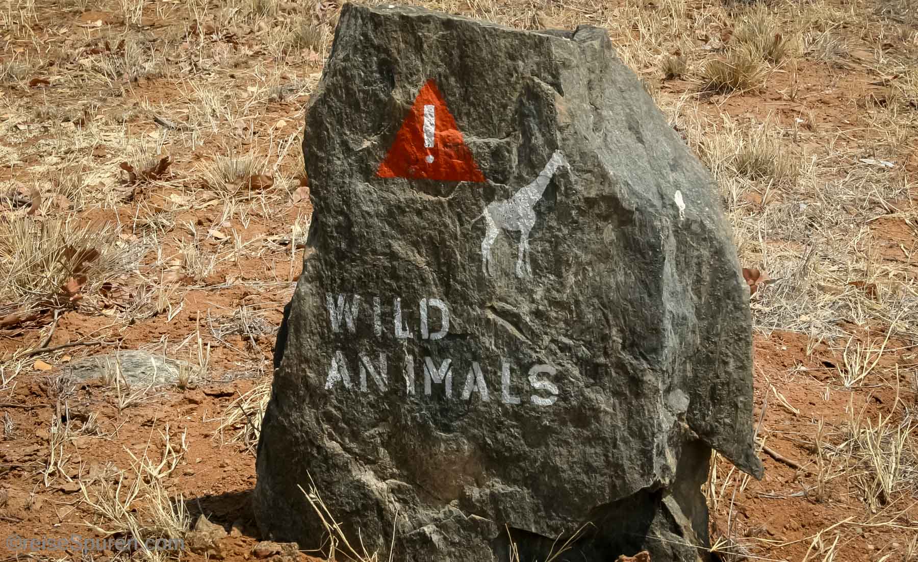 Achtung Wildtiere