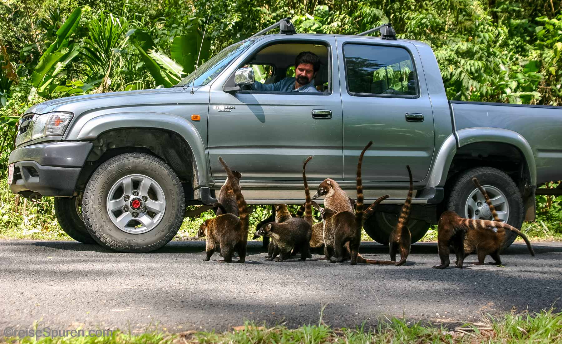 "Überfall ... Kekse her, oder wir beißen in den Reifen"